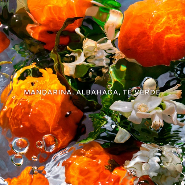 Guerlain Aqua Allegoria Mandarine Basilic – Image 3