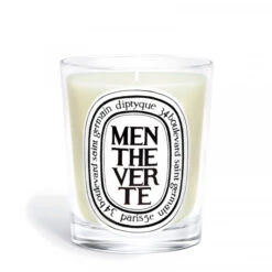 Diptyque Bougie Modèle Menthe Verte Classic