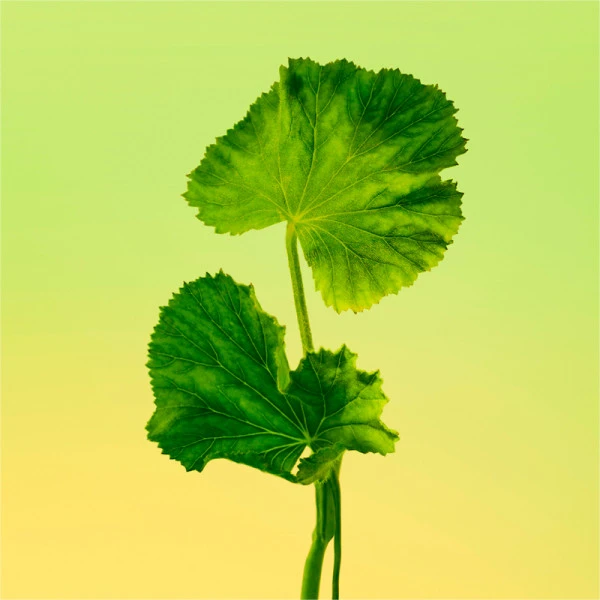 Calvin Klein Eternity For Men – Image 7