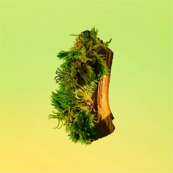 Calvin Klein Eternity For Men – Image 8