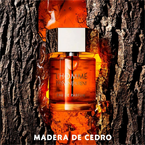 Yves Saint Laurent L'Homme – Image 3