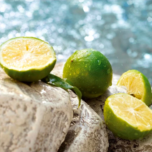 Dolce & Gabbana Light Blue Summer Vibes – Image 3