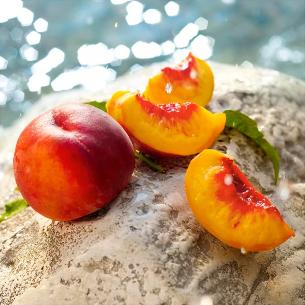 Dolce & Gabbana Light Blue Summer Vibes – Image 4