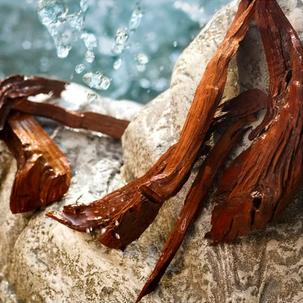 Dolce & Gabbana Light Blue Summer Vibes – Image 5