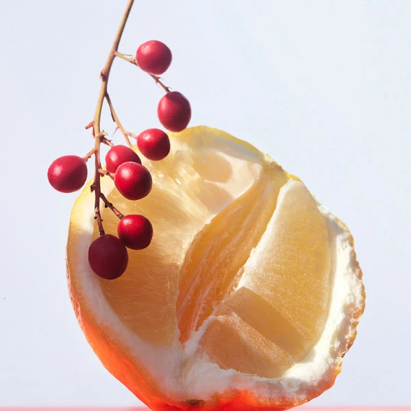 Bulgari Omnia Coral – Image 2