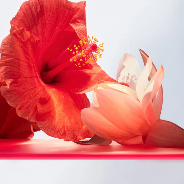 Bulgari Omnia Coral – Image 4