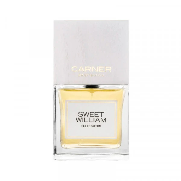 Sweet William