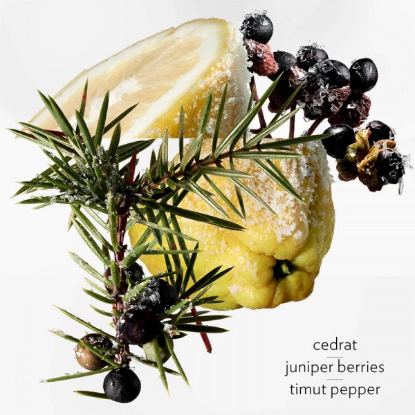 Terre D'Hermès Eau Givrée – Image 5